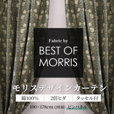 厚地カーテン ピンパネル 幅100×丈178cm 2枚組　Fabric by ベストオブモリス