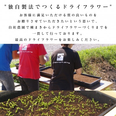 信州 八ヶ岳の麓から贈るドライフラワースワッグ M(ピンク&ブラウン)