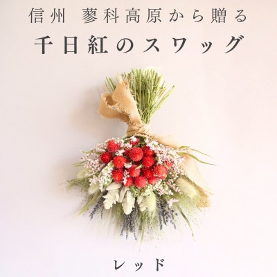 信州八ヶ岳の麓から贈る 千日紅のドライフラワースワッグM(レッド)