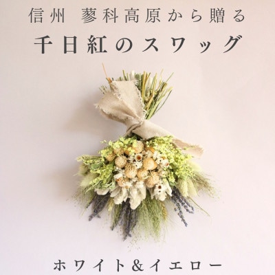 信州八ヶ岳の麓から贈る 千日紅のドライフラワースワッグM(ホワイト&イエロー)