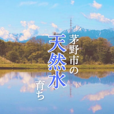 霧ヶ峰の水が育んだお米(レンジアップごはん)20個