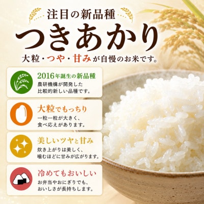 つきあかり 精米 5kg