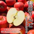 【2026年先行受付】長野直送!信州八ヶ岳のりんごシナノスイート約10kg(24～36玉)蓼科高原