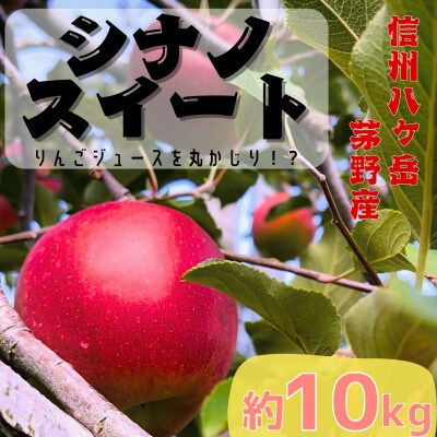 【2025年先行受付】長野直送!信州八ヶ岳のりんごシナノスイート約10kg(24～36玉)蓼科高原