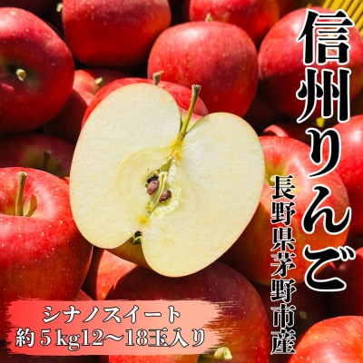 【2025年先行受付】長野直送!信州八ヶ岳のりんごシナノスイート約5kg(12～18玉)蓼科高原