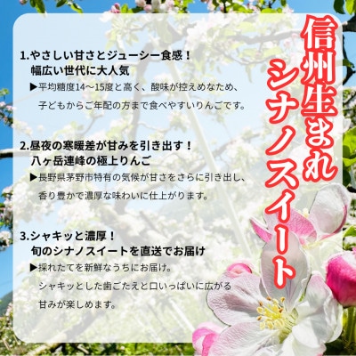 【2025年先行受付】長野直送!信州八ヶ岳のりんごシナノスイート約5kg(12～18玉)蓼科高原