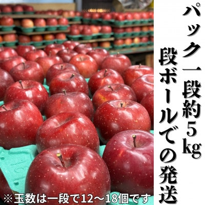 【2025年先行受付】長野直送!信州八ヶ岳のりんごシナノスイート約5kg(12～18玉)蓼科高原