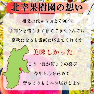【2025年先行受付】長野直送!信州八ヶ岳のりんごシナノスイート約5kg(12～18玉)蓼科高原