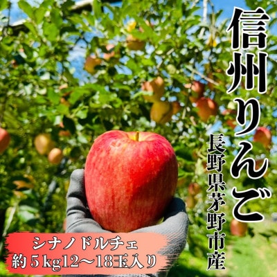 【2026年先行受付】長野直送!信州八ヶ岳のりんごシナノドルチェ約5kg(12～18玉)蓼科高原果物