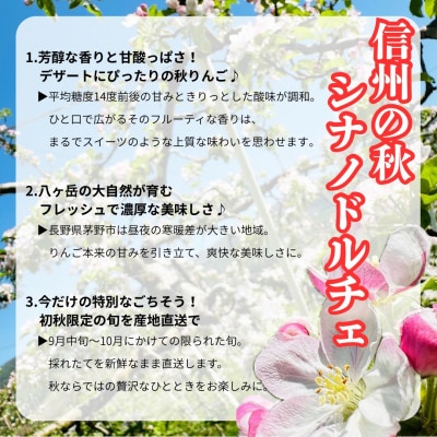 【2026年先行受付】長野直送!信州八ヶ岳のりんごシナノドルチェ約5kg(12～18玉)蓼科高原果物