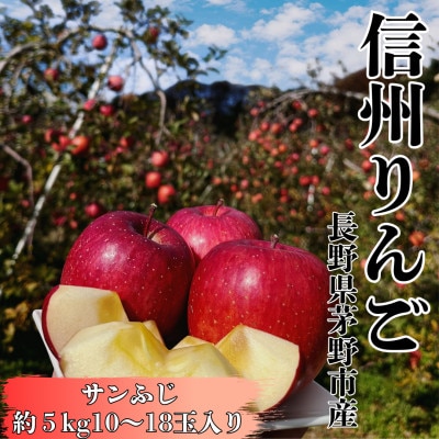 長野直送!信州八ヶ岳のりんごサンふじ約5kg(10～18玉)蓼科高原果物