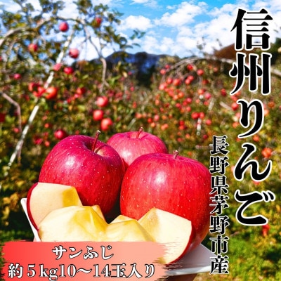 【贈答】サンふじ 約5kg 10～14玉 長野直送 信州八ヶ岳 りんご 蓼科高原