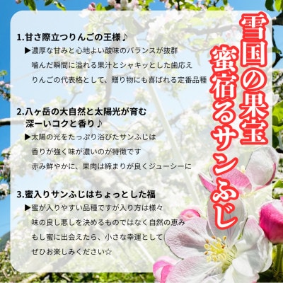 長野直送!信州八ヶ岳のりんごサンふじ約5kg(10～18玉)蓼科高原果物