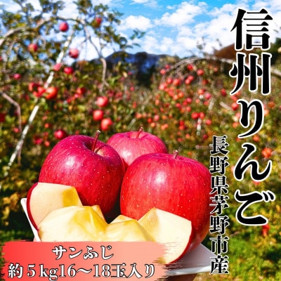 サンふじ 約5kg(16～18玉) 長野直送 信州八ヶ岳 りんご 蓼科高原