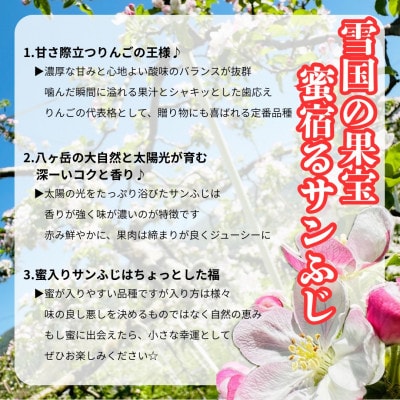 サンふじ 約5kg(16～18玉) 長野直送 信州八ヶ岳 りんご 蓼科高原