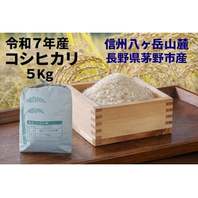 【令和7年産】信州八ヶ岳山麗 長野県産コシヒカリ 精米5kg(5kg×1袋)