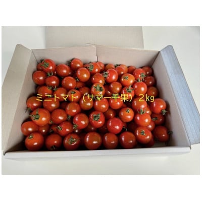 高原育ちのフルーツミニトマト サマー千果 約2kg