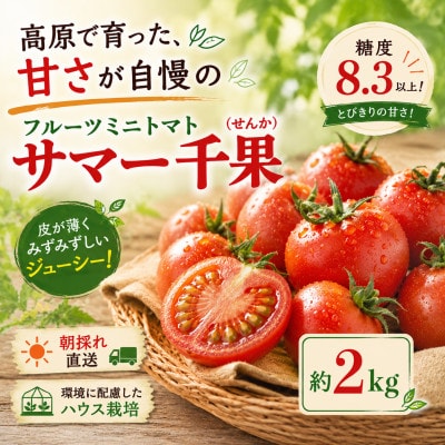 【先行受付】八ヶ岳産　高原育ちのフルーツミニトマト サマー千果 約2kg