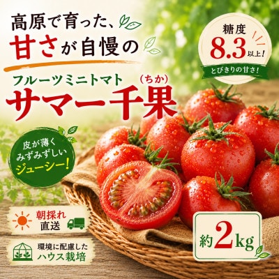 【先行受付】八ヶ岳産　高原育ちのフルーツミニトマト サマー千果 約2kg