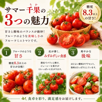 【先行受付】八ヶ岳産　高原育ちのフルーツミニトマト サマー千果 約2kg