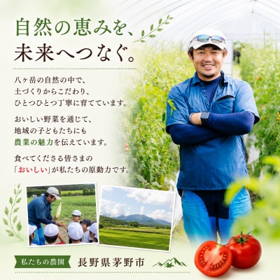 【先行受付】八ヶ岳産　高原育ちのフルーツミニトマト サマー千果 約2kg