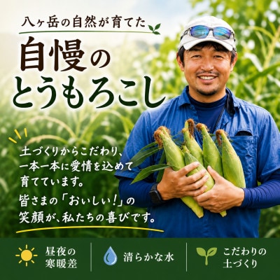 【先行予約】朝採り出荷　長野県茅野市産　とうもろこし　計約4kg