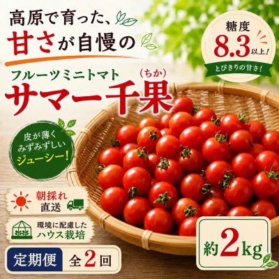 【毎月定期便】蓼科野菜　八ヶ岳産高原育ちのフルーツミニトマト 約2kg 全2回