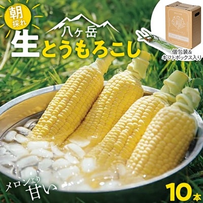 　【先行予約】朝採れ 八ヶ岳生とうもろこし 10本〈2026年7月下旬～9月下旬発送予定〉