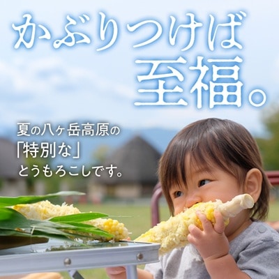 　【先行予約】朝採れ 八ヶ岳生とうもろこし 10本〈2026年7月下旬～9月下旬発送予定〉