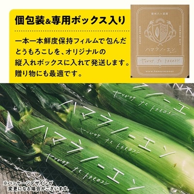 　【先行予約】朝採れ 八ヶ岳生とうもろこし 10本〈2026年7月下旬～9月下旬発送予定〉