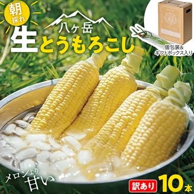 【訳あり】朝採れ 八ヶ岳生とうもろこし はねだし10本(約3kg)〈26年7月～9月下旬発送予定〉