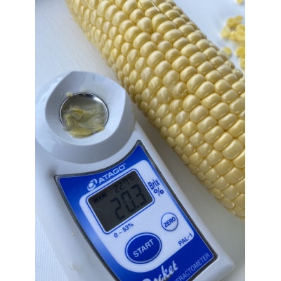 【訳あり】朝採れ 八ヶ岳生とうもろこし はねだし10本(約3kg)〈26年7月～9月下旬発送予定〉