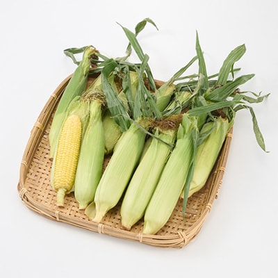 【訳あり】朝採れ 八ヶ岳生とうもろこし はねだし10本(約3kg)〈26年7月～9月下旬発送予定〉