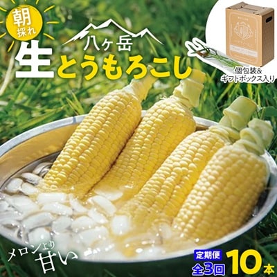 【発送月固定定期便】【2026年発送】朝採れ 八ヶ岳生とうもろこし 10本全3回