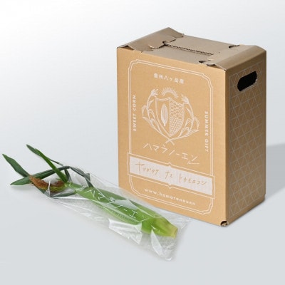 【先行予約】朝採れ八ヶ岳生とうもろこし20本【複数個口で配送】