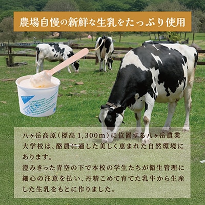 八ヶ岳農場 生ソフトクリームアイス 6個