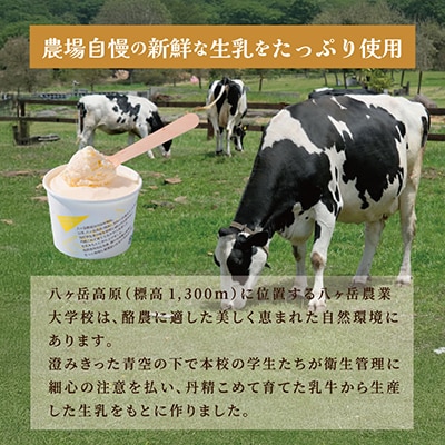 八ヶ岳農場 復刻版バニラアイス 6個