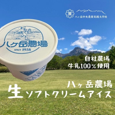 八ヶ岳農場 生ソフトクリームアイス 12個