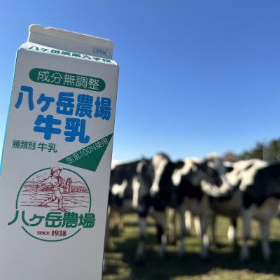 八ヶ岳農場 生ソフトクリームアイス 12個