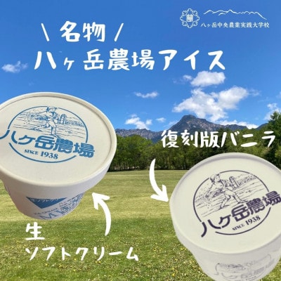 八ヶ岳農場 バニラ&生ソフトクリームアイス 味比べセット　各3個・2種類(合計6個)