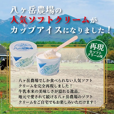 八ヶ岳農場 バニラ&生ソフトクリームアイス 味比べセット　各6個・2種類(合計12個)