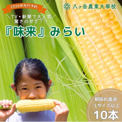 【2026年先行予約】朝採れ直送 フルーツのような甘さ『皮付き』生とうもろこし10本