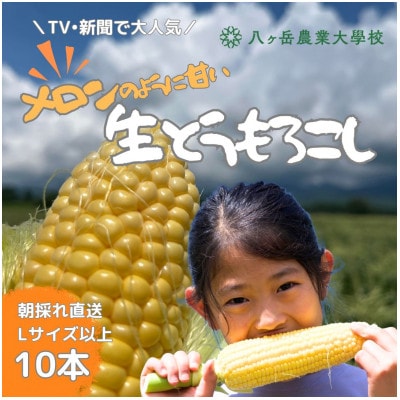 【2026年先行予約】 メロンのように甘い 生とうもろこし 10本