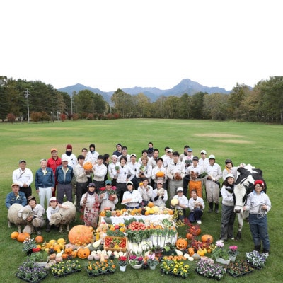 八ヶ岳農場 生ソフトクリームアイス 8個