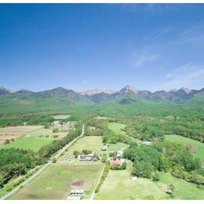 八ヶ岳農場 生ソフトクリームアイス 8個