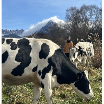 八ヶ岳農場 復刻版バニラアイス 8個