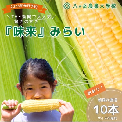 【数量限定!訳あり】フルーツのような甘さ『皮付き』生とうもろこし10本【2026年先行予約】
