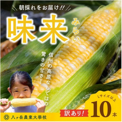 【数量限定!訳あり】フルーツのような甘さ『皮付き』生とうもろこし10本【2026年先行予約】
