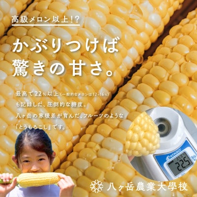 【数量限定!訳あり】フルーツのような甘さ『皮付き』生とうもろこし10本【2026年先行予約】