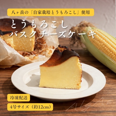 八ヶ岳・AlgAe とうもろこしのバスクチーズケーキ 4号
